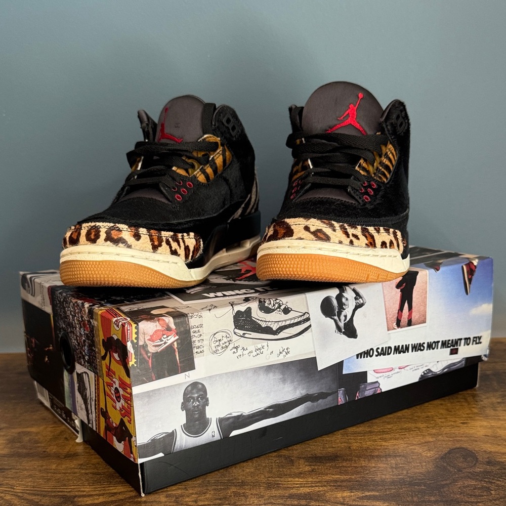 Air Jordan 3 Retro SE ‘Animal Instinct’